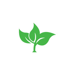 Abstract Ecology Vector , Nature Logo