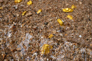Pure gold nugget ore found in mine with natural water sources