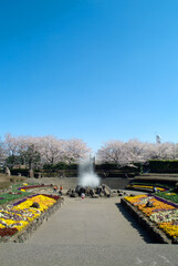 神奈川県立四季の森公園