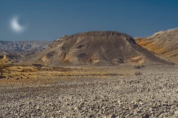 Desert in the light of the moon