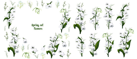 hand-drawn set with flowers of the Lily of the valley, primrose. realistic Doodle isolated on white background. Botanical elements for decoration, decor, presentation, Wallpaper.
