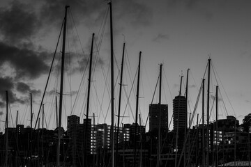 masts at twilight