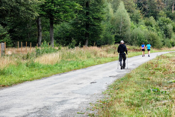 balade promenade foret