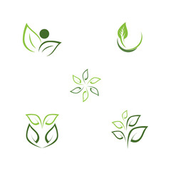 Set Leaf  ecology Logo Template vector