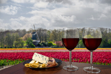 Two glasses of red wine with cheese and meat assortment on view of tulips field and windmill in Netherlands. Glass of red wine with different snacks - plate with ham, sliced, blue cheese.