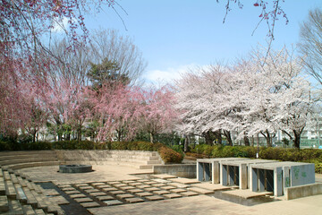 けやき公園（東京都小平市）