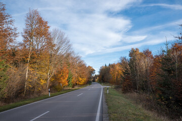 Fototapeta premium country road through autumnal forest
