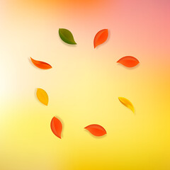 Falling autumn leaves. Red, yellow, green, brown n