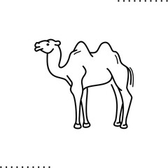 camel desert vector icon in outline