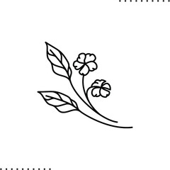 beautiful wild flower blossom vector icon in outline 