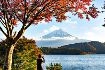 Japan - November 15, 2019 : Colorful Maple Trees Blooming vividly around Kawaguchiko Lake,...