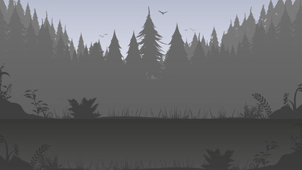 Night in the forest. Silhouettes of trees. Good for backgrounds and postcards. Vector.