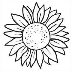 Sunflower. Vector image of hand drawn sunflowers isolated on white background at retro style
