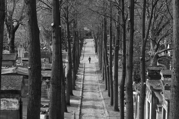 alley in the park in paris