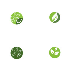 Set Leaf  ecology Logo Template vector