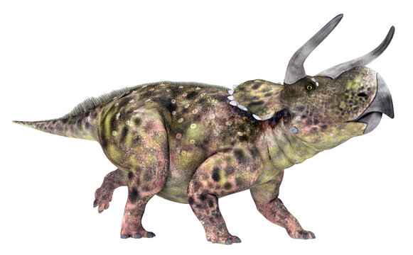 Dinosaurier Nasutoceratops, Freisteller
