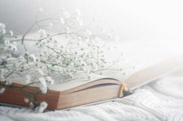 Cozy winter still life opened book. Blurred