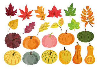 Autumn set of colorful pumpkins and leaves in a flat style. Pumpkins and foliage are red, yellow, green and orange isolated on a white background. Perfect for autumn cards, Halloween