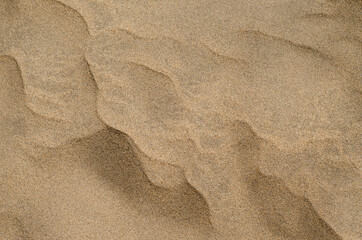 detail of a sand dune