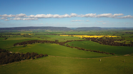 Aerial View of Canola Fields in NSW