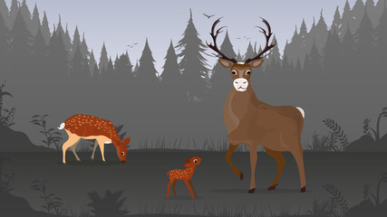 Deer family in the forest. Silhouettes of trees. Suitable for backgrounds and postcards. Vector.