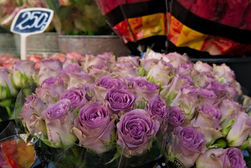 Roses for sale a a local florist shop on the sidewalk, buckets and price tags blurred out in the background.
