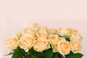 Soft beige fresh blooming rose frame on the light background.