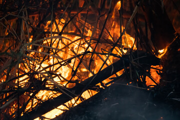 Closeup of the blazing fire of dry forest.