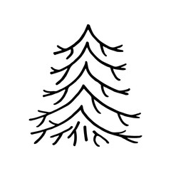Obraz premium Hand drawn doodle fir tree isolated on white background. Conifer sketch. Vector illustration. Design for print, banner, greeting card, logo