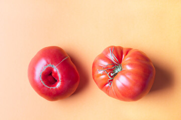 Two nonstandard red tomatoes on a colored terracotta background. Copy space. Ugly food