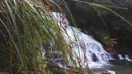 A day out in Meghalaya