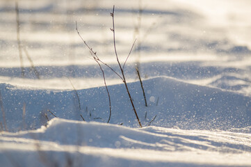 Krajobraz kompozycja zimowa sceneria śnieżny puch - obrazy, fototapety, plakaty