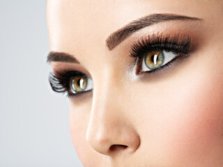 Beautiful Woman's eyes with brown eye makeup