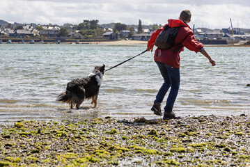 Woman walking her dog at the seaside