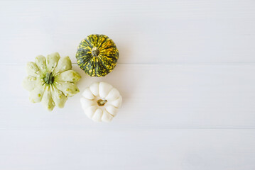 Colorful mini pumpkins of different colors on white background.