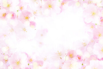 Obraz na płótnie Canvas 春キラキラ桜のフレーム背景テクスチャ