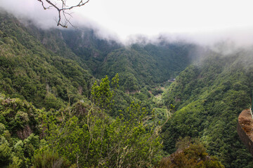 Grandes montañas de arboles y plantas verdes entre nubes blancas 