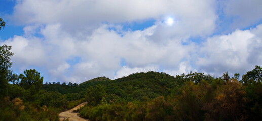 Fototapeta na wymiar nice clouds over the forest
