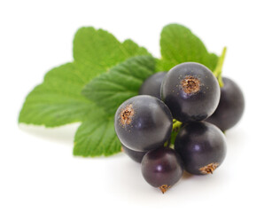 Black currants isolated.