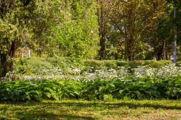 Sculptures and flowers in the autumn park