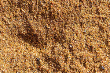sandy surface background