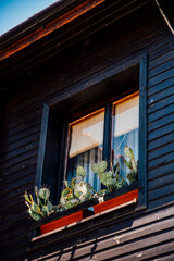 A large wooden building with a window and a full pot with cacti