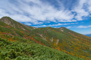 Fototapeta na wymiar 御嶽山の美しい紅葉