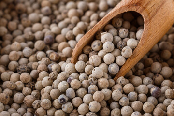 white peppercorns seed on white acrylic background