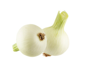 Onions isolated on white background with clipping path