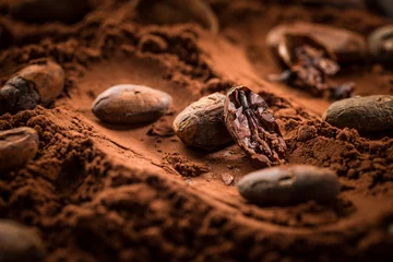 Fotobehang Chocolade Organic cocoa powder with cocoa beans  © Brebca