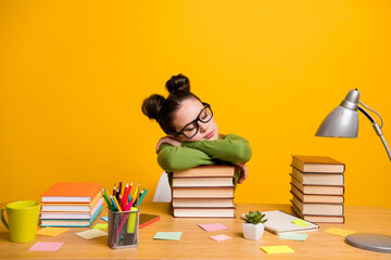 Portrait of her she attractive pretty knowledgeable peaceful girl nerd reading many book self...