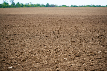 plowed field and blue sky, soil and clouds of a bright sunny day - concept of agriculture