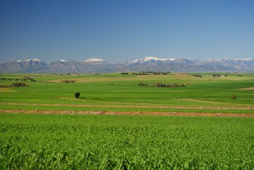 Snow capped mountains  