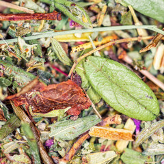 Useful herbal tea. Leaves, stems, flowers of various plants. Macro image. 